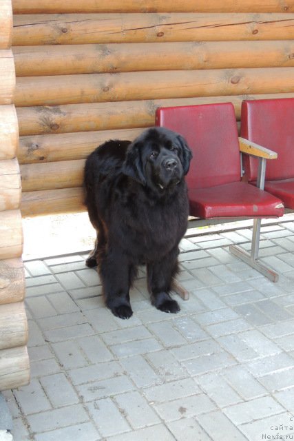 Фотография № 153899