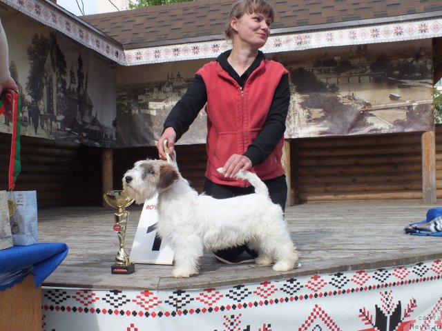 Фотография № 153900