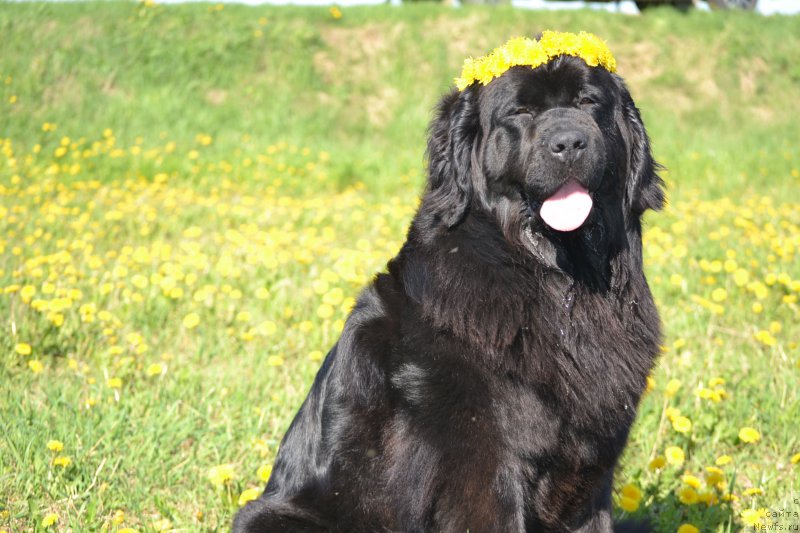 Фотография № 153909