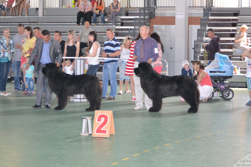 Фотография № 153912