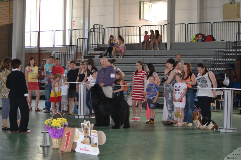 Фотография № 153913