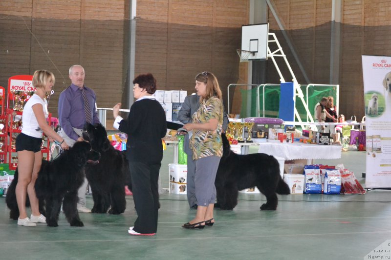 Фотография № 153914