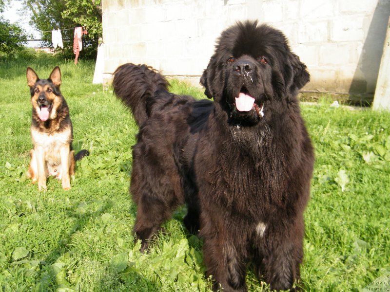 Фотография № 153930