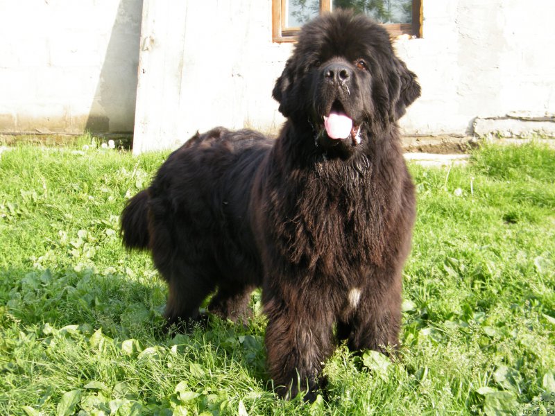 Фотография № 153931