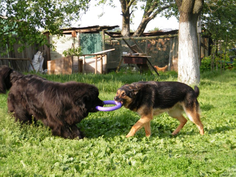 Фотография № 153933