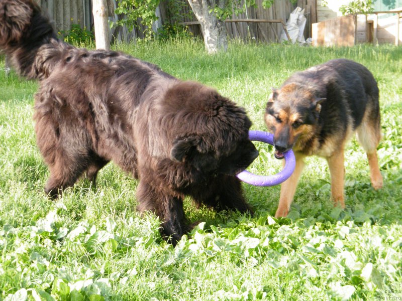 Фотография № 153934