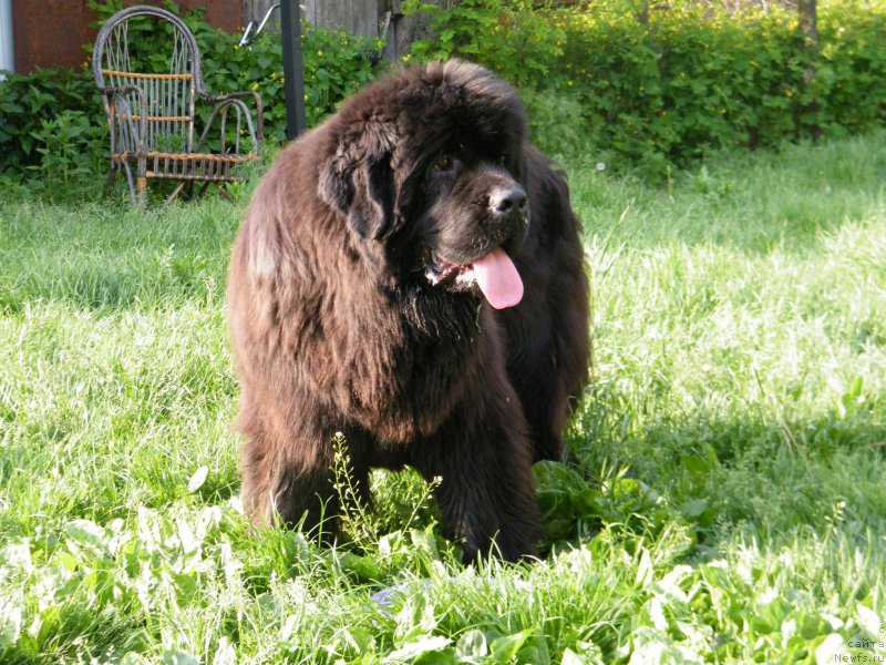 Фотография № 153938