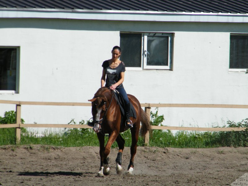 Фотография № 153940