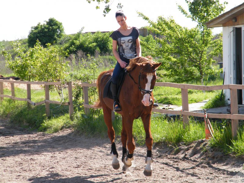 Фотография № 153943