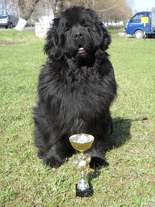 Фотография № 153970