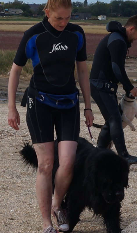 Фотография № 153997