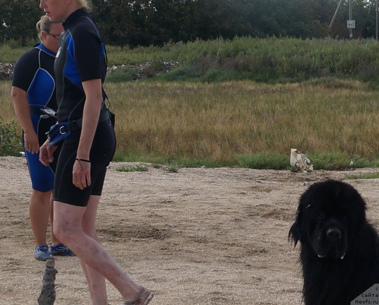 Фотография № 153998