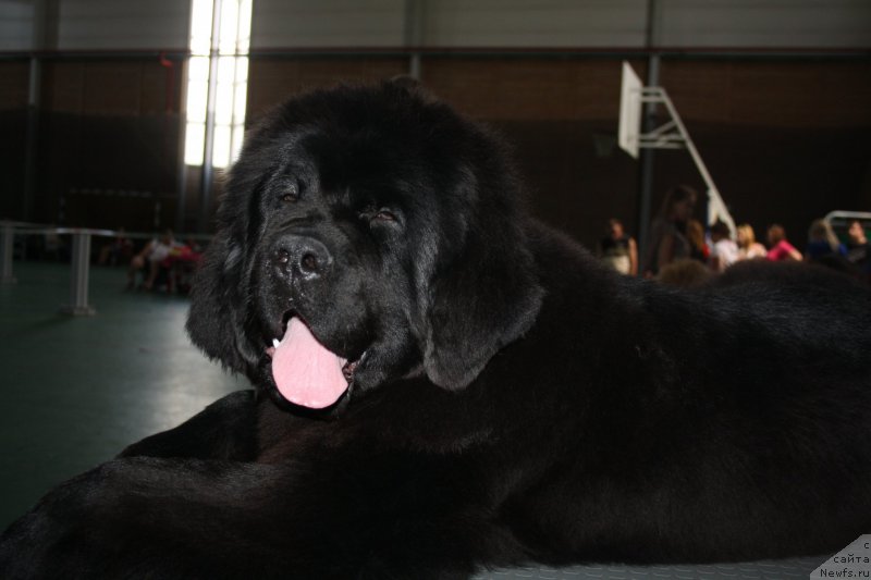 Фотография № 154001