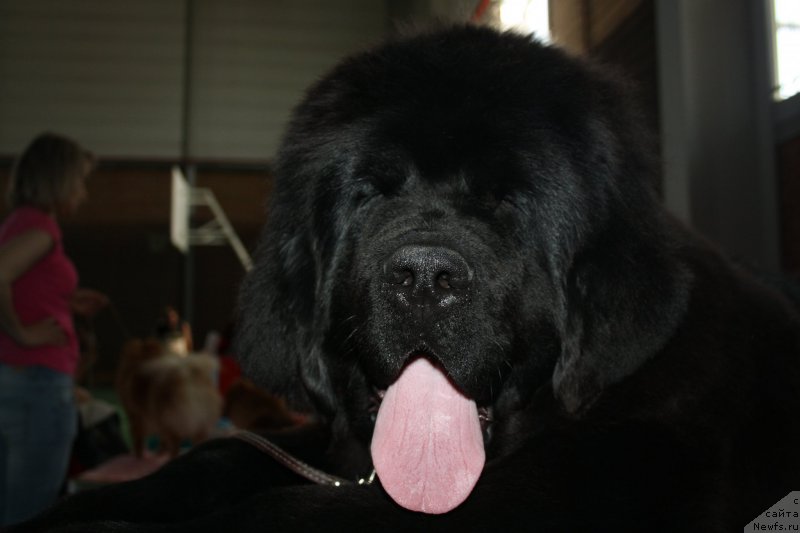 Фотография № 154002