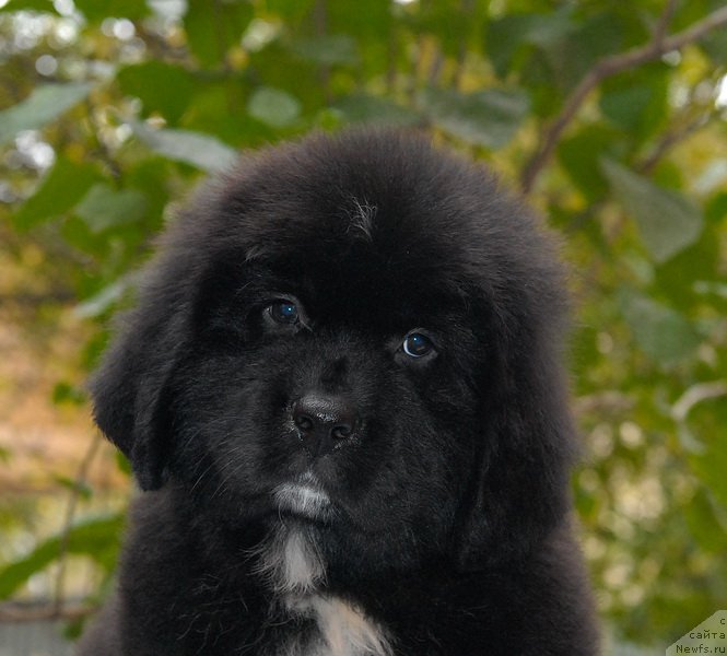 Фотография № 154025