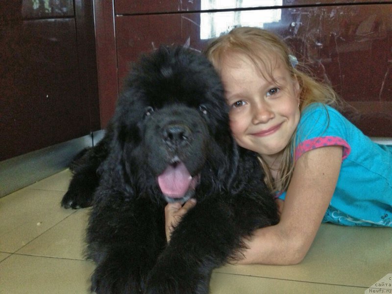 Фото: Блэк Диамонд Агидель от Потапа Чеззарио