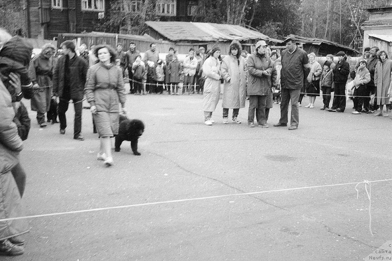 Фотография № 154049