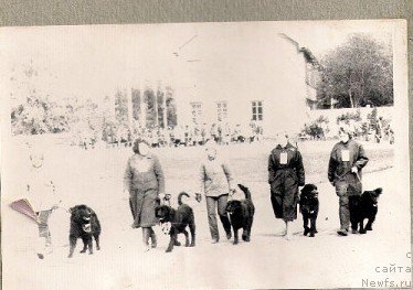 Фотография № 154056