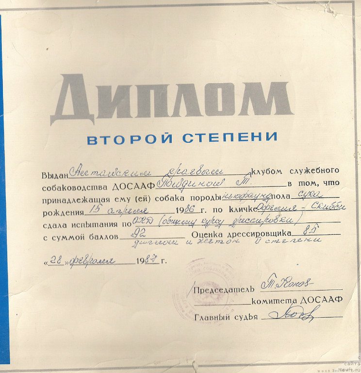 Фото: Диплом. Как дороги воспоминания прежних лет