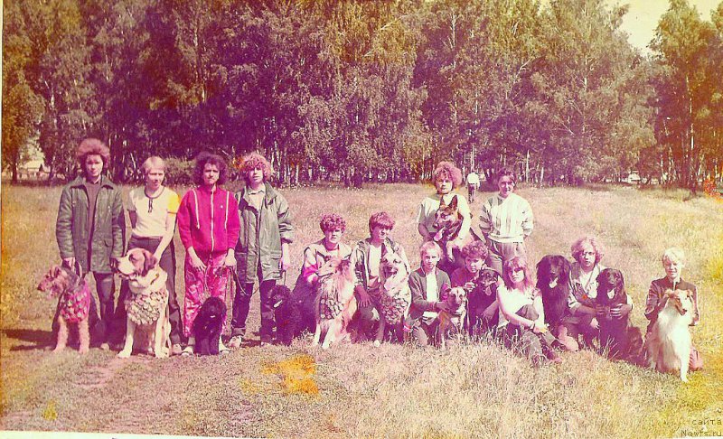 Фотография № 154061