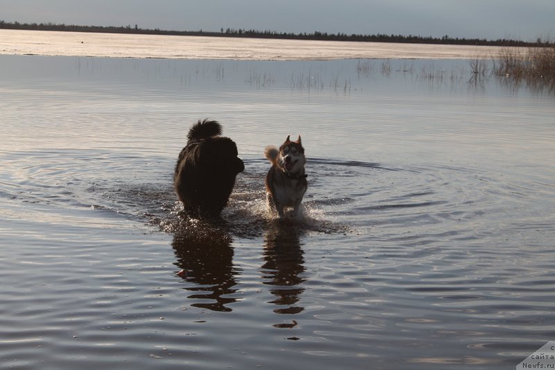 Фотография № 154080