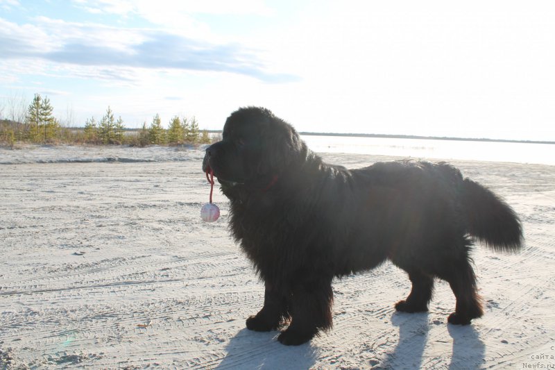 Фотография № 154082