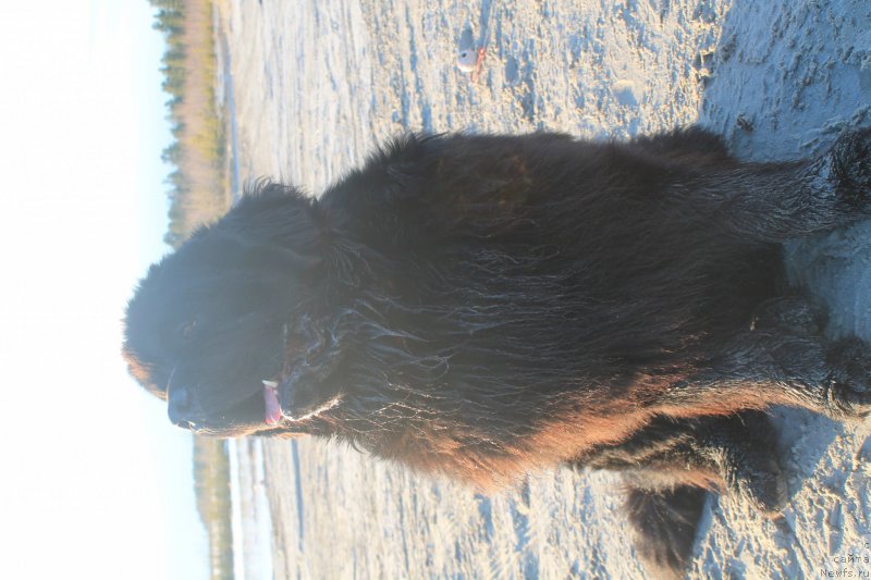 Фотография № 154085