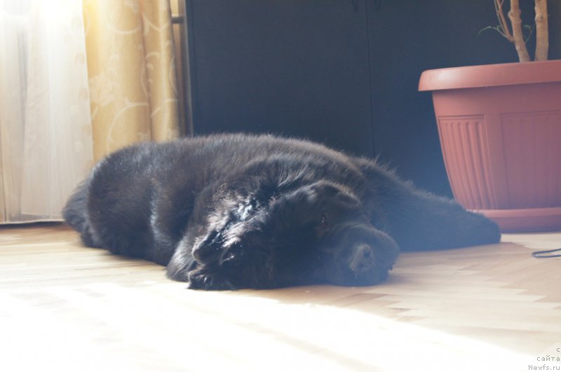 Фотография № 154104