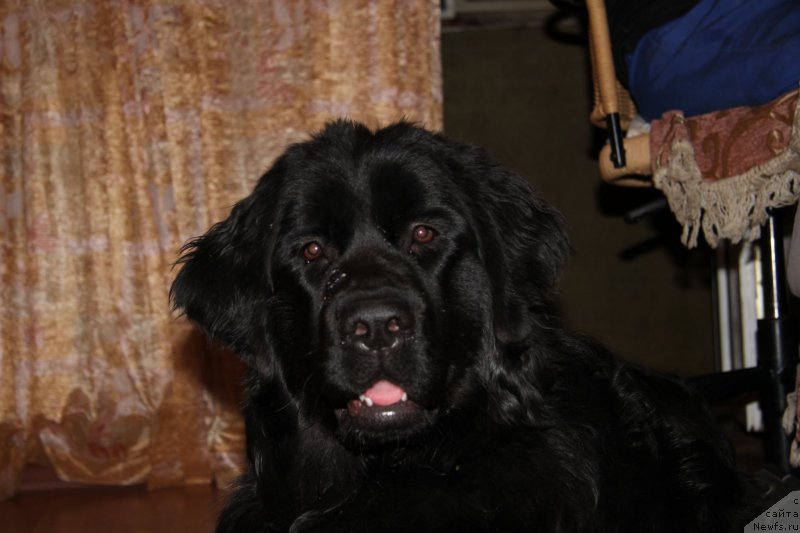 Фото: Игорь Гречишкин