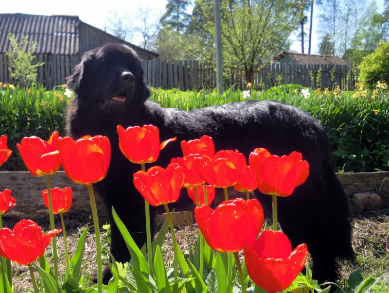 Фотография № 154124