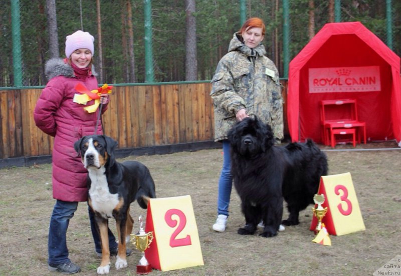 Фотография № 154131