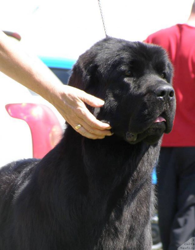 Фотография № 154157