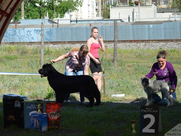 Фотография № 154159