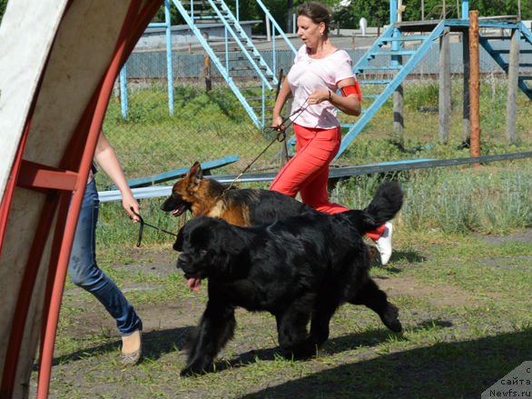 Фотография № 154160