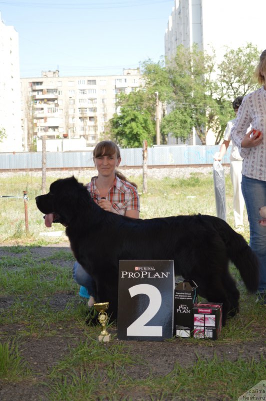 Фотография № 154161