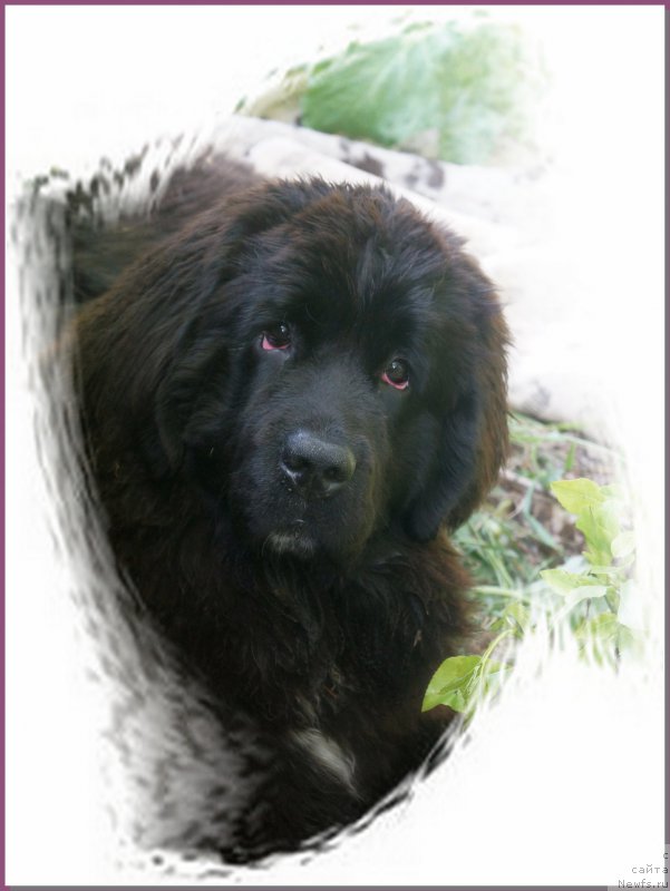 Фотография № 154187