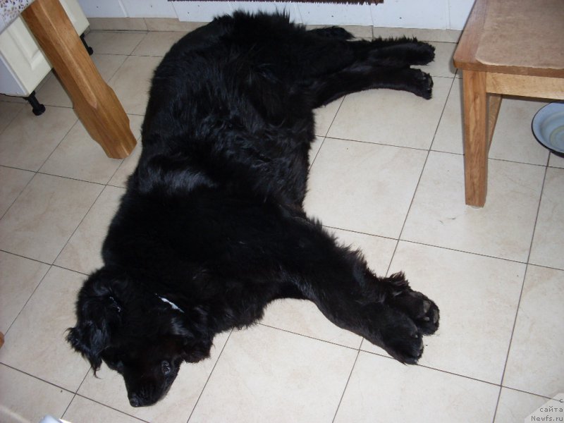 Фото: Инна Воронина