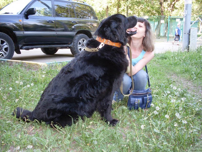 Фотография № 154190