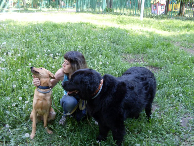 Фотография № 154191