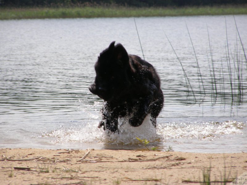 Фотография № 154199