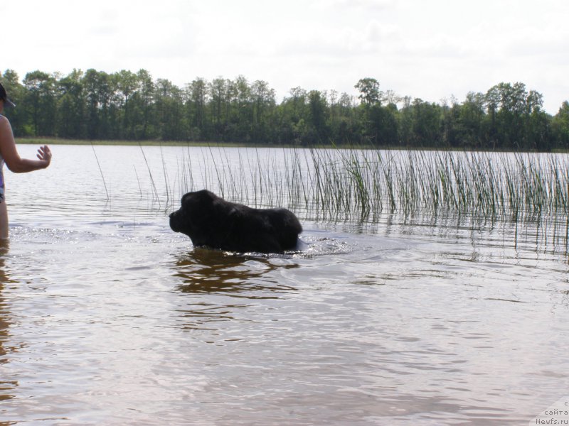 Фотография № 154200