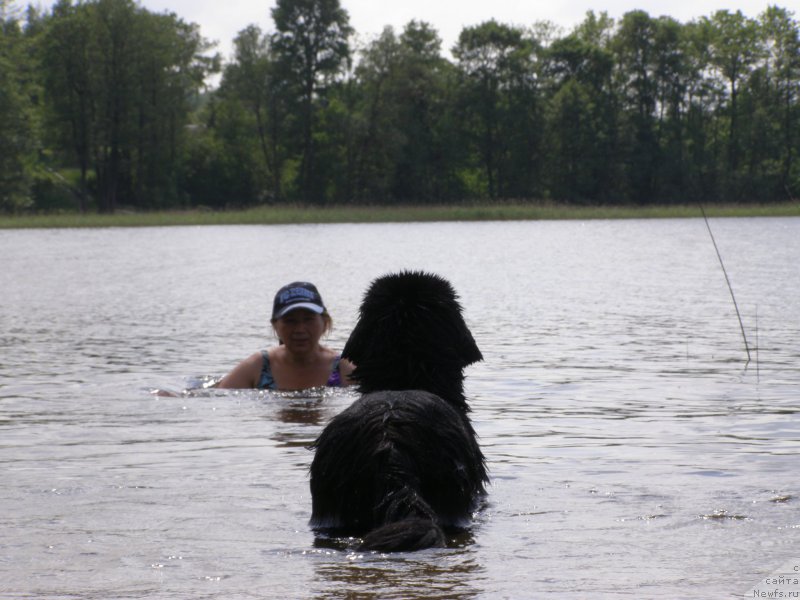 Фотография № 154201