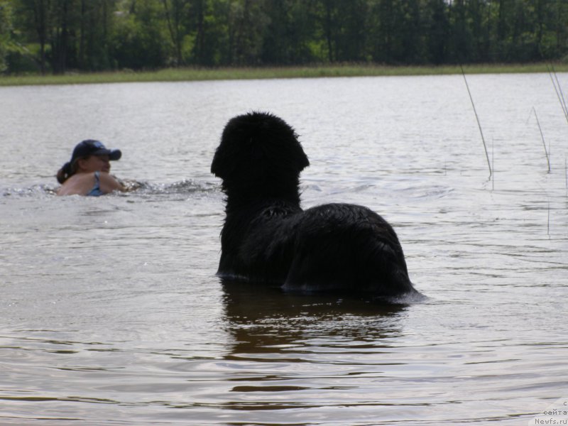 Фотография № 154202