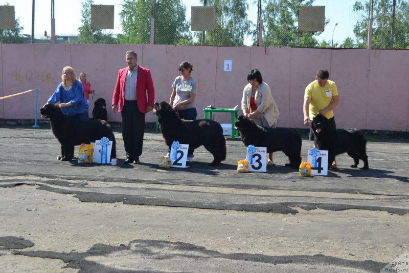 Фотография № 154223