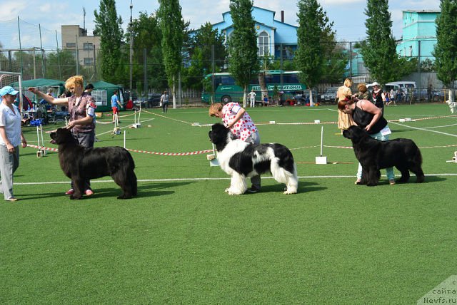 Фотография № 154232