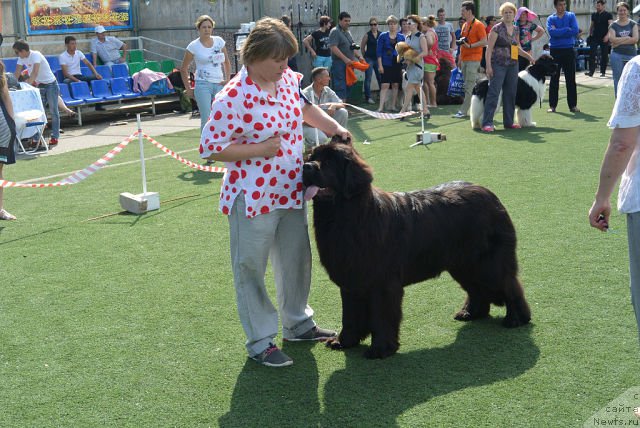 Фотография № 154234