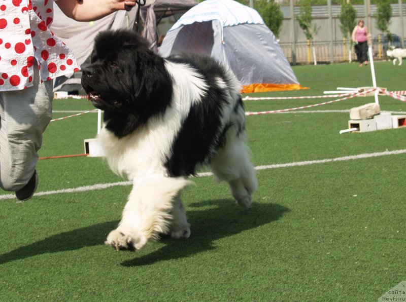 Фотография № 154237