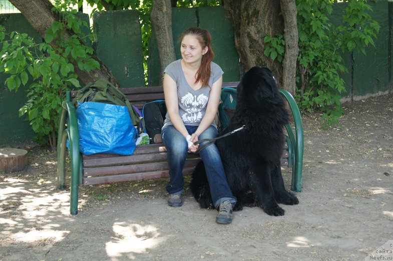 Фотография № 154246