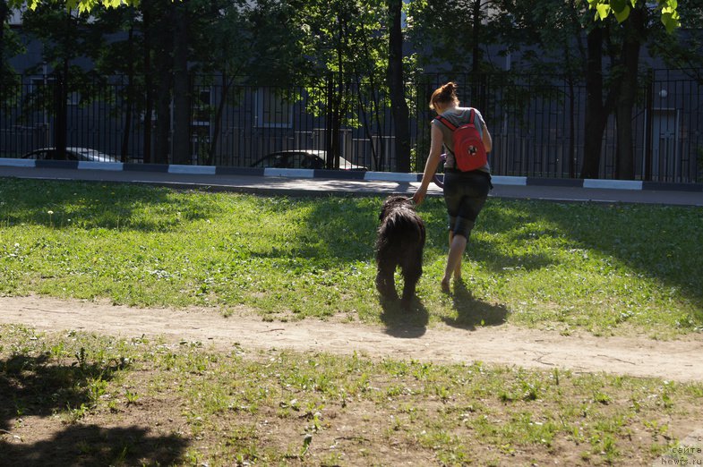 Фотография № 154247