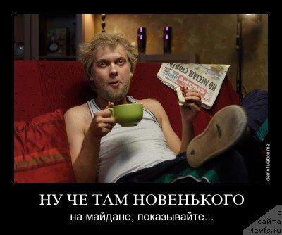 Фото: ньюфаундленд Чрезвычайная Чайн с Берега Дона (Chrezvychaynaya Chayn s Berega Dona)